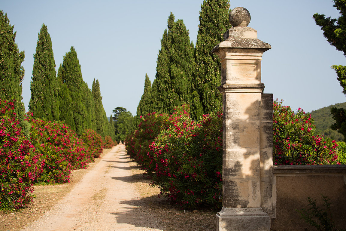 Allée d'entrée de l'Afrique