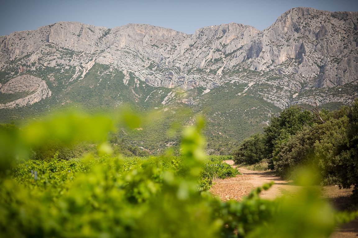 A Maupague, la Sainte Victoire est omniprésente 