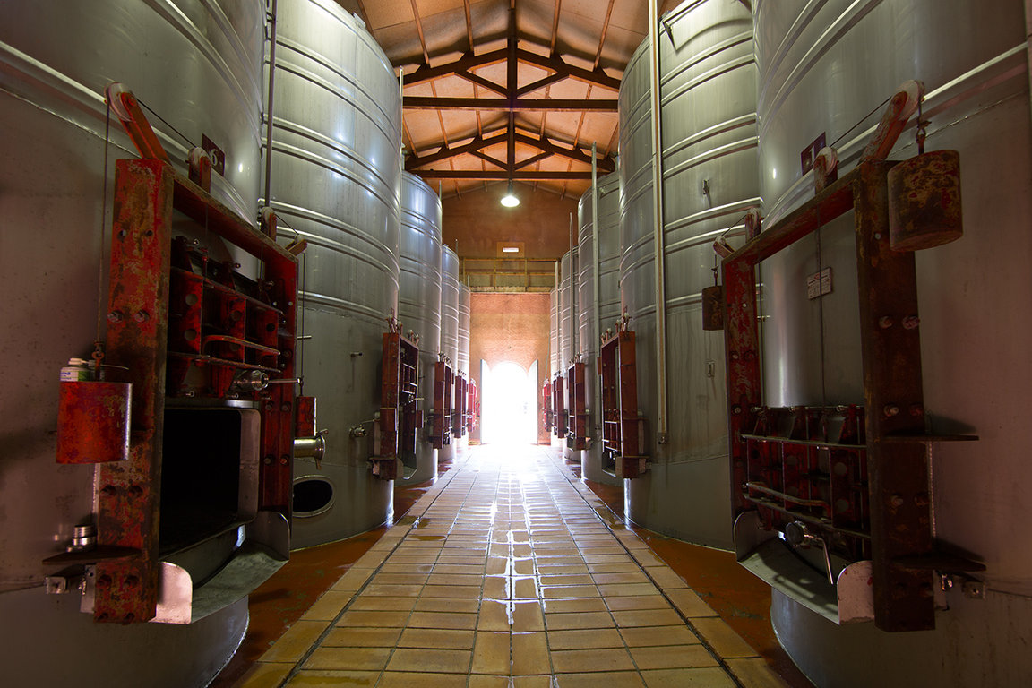 La cave de vinification entièrement équipée en cuves en acier inoxydable 