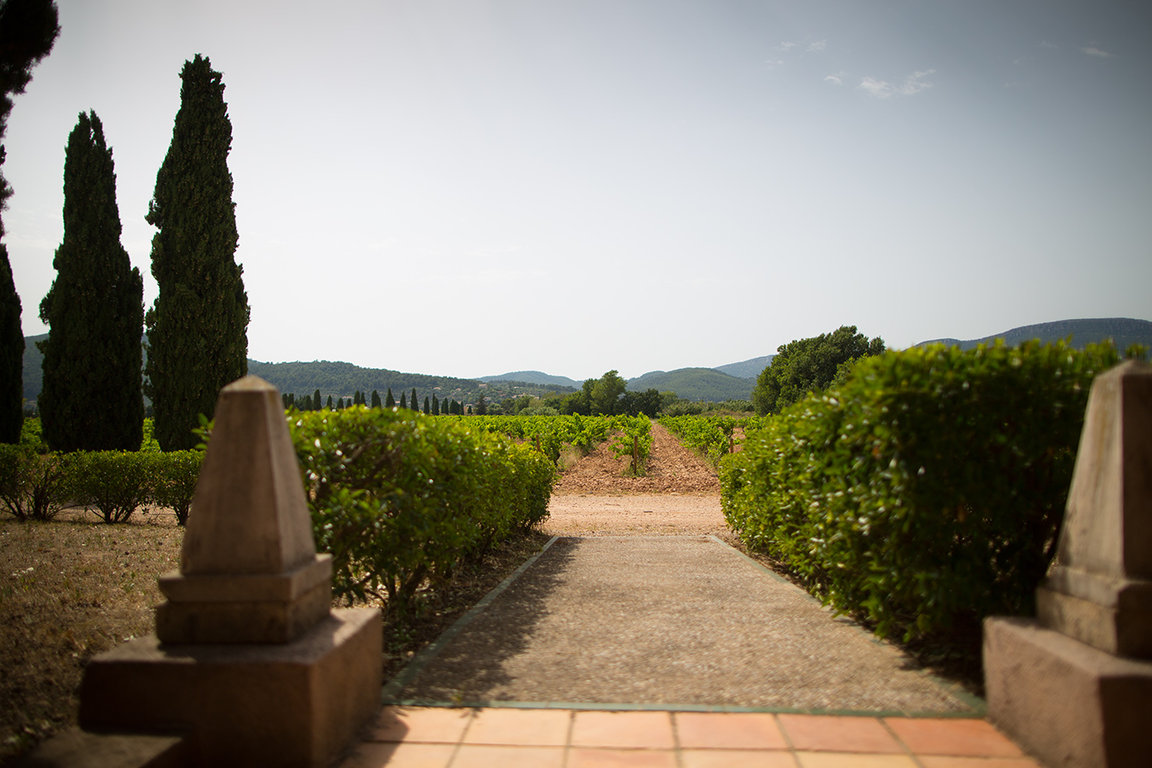 Plongée vers notre meilleure parcelle de grenache